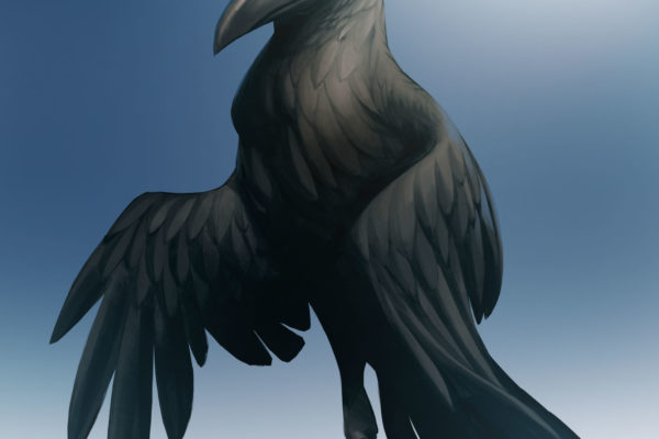 Crow_02